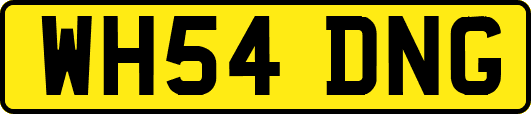 WH54DNG