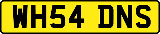 WH54DNS