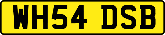 WH54DSB