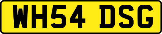 WH54DSG