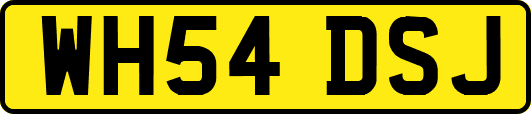 WH54DSJ