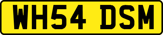 WH54DSM