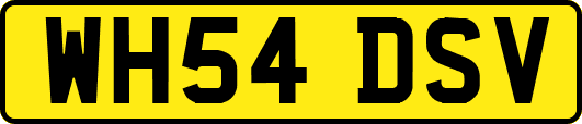 WH54DSV