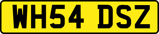 WH54DSZ