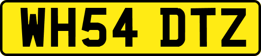 WH54DTZ