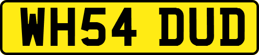 WH54DUD