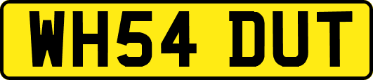 WH54DUT