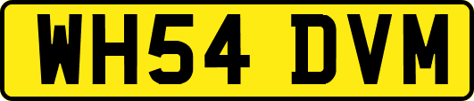 WH54DVM