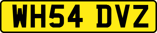 WH54DVZ