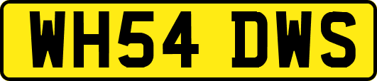 WH54DWS