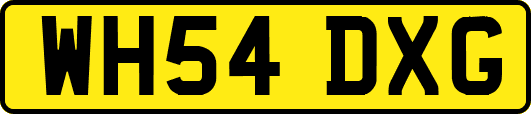 WH54DXG