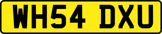 WH54DXU
