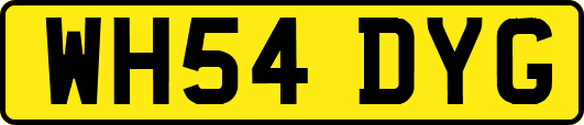 WH54DYG
