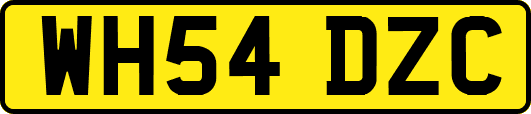 WH54DZC
