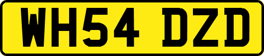 WH54DZD