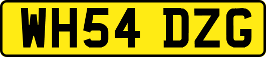 WH54DZG