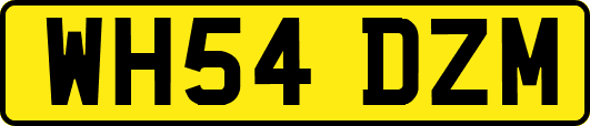 WH54DZM