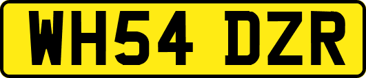 WH54DZR