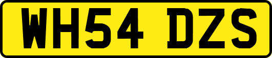 WH54DZS