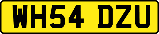 WH54DZU