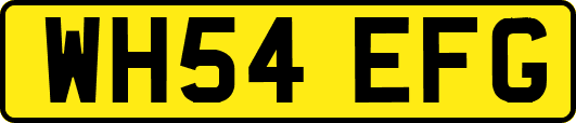 WH54EFG