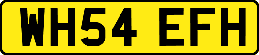 WH54EFH