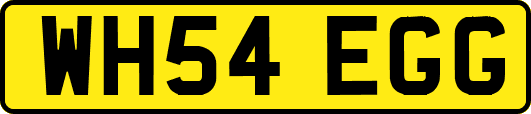 WH54EGG