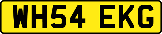 WH54EKG