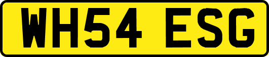 WH54ESG