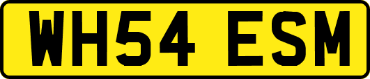 WH54ESM