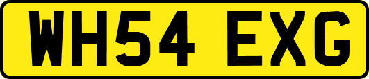 WH54EXG