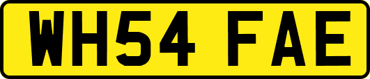 WH54FAE
