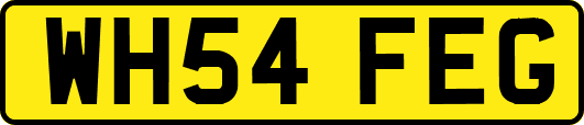 WH54FEG