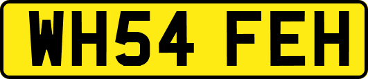 WH54FEH