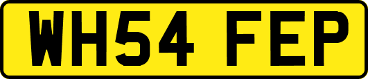 WH54FEP