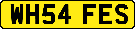 WH54FES