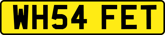 WH54FET