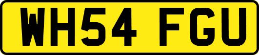 WH54FGU