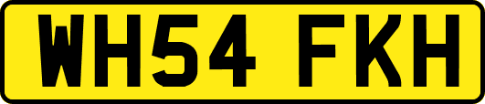 WH54FKH