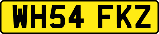 WH54FKZ