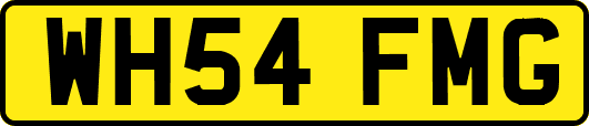 WH54FMG