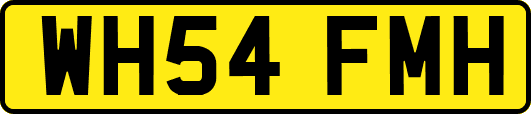 WH54FMH