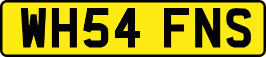 WH54FNS