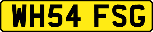 WH54FSG