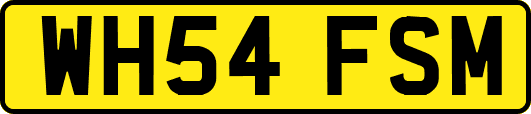 WH54FSM