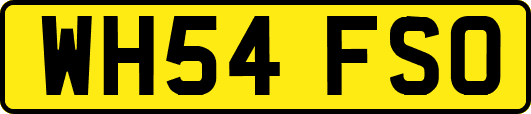 WH54FSO