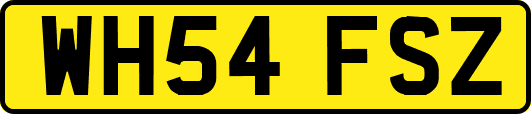 WH54FSZ