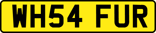 WH54FUR