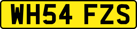 WH54FZS