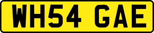 WH54GAE